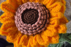 crochet_flower6 crochet_flower6